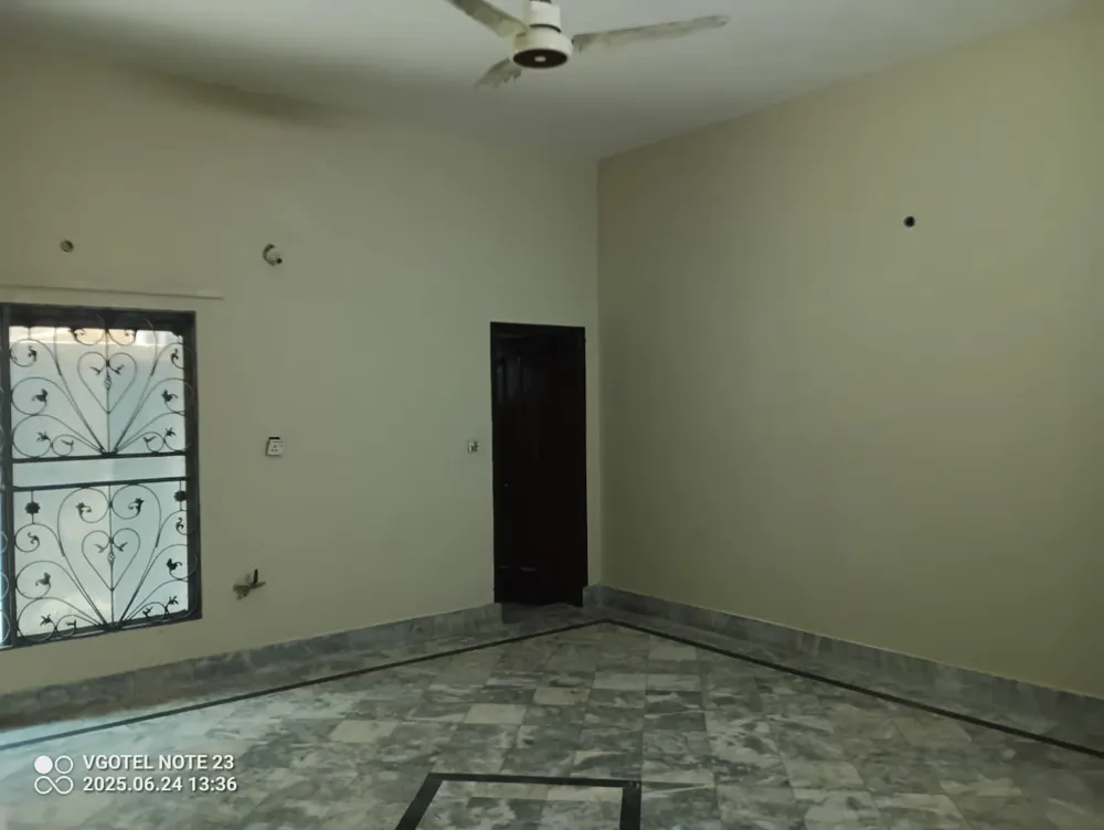 Image-7