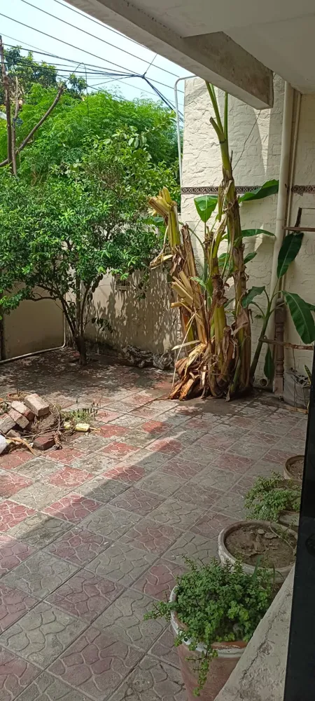 Image-4