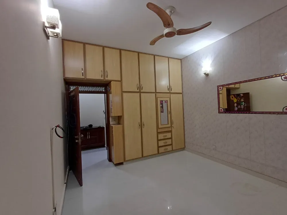 Image-7