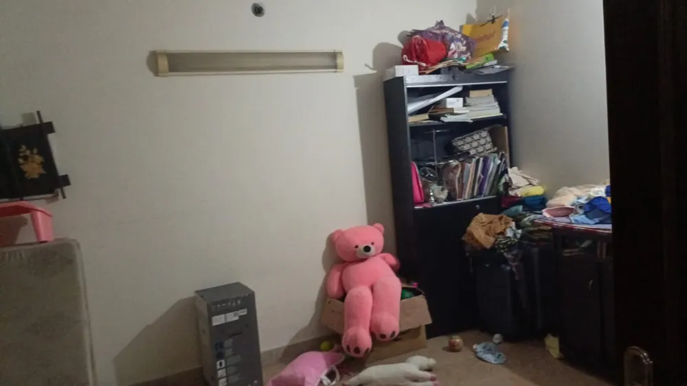 Image-5