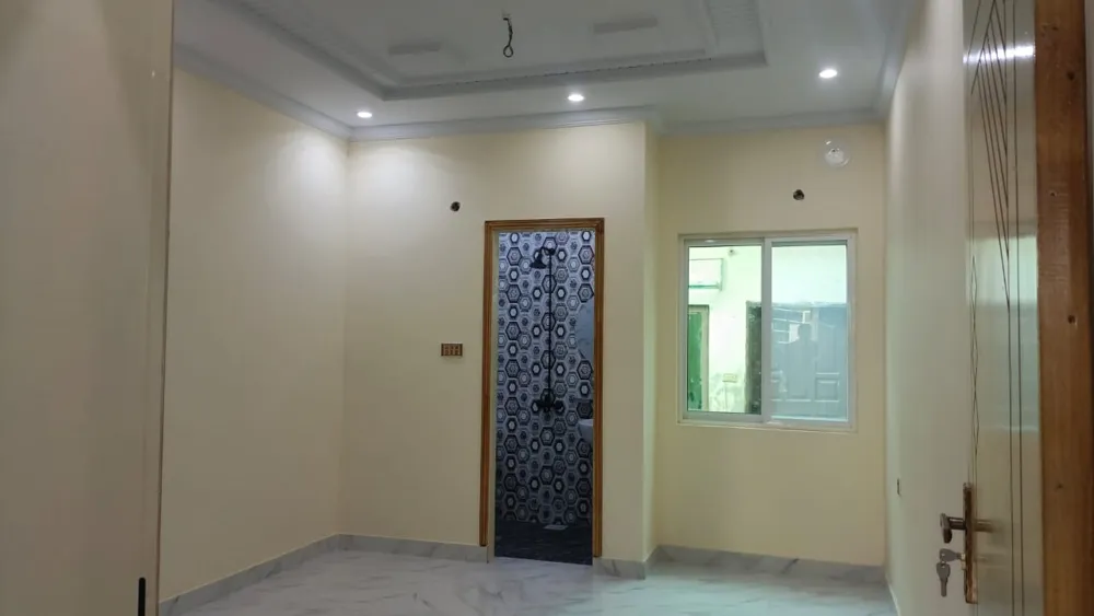 Image-7
