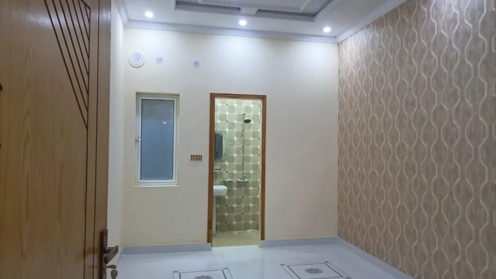 Image-4