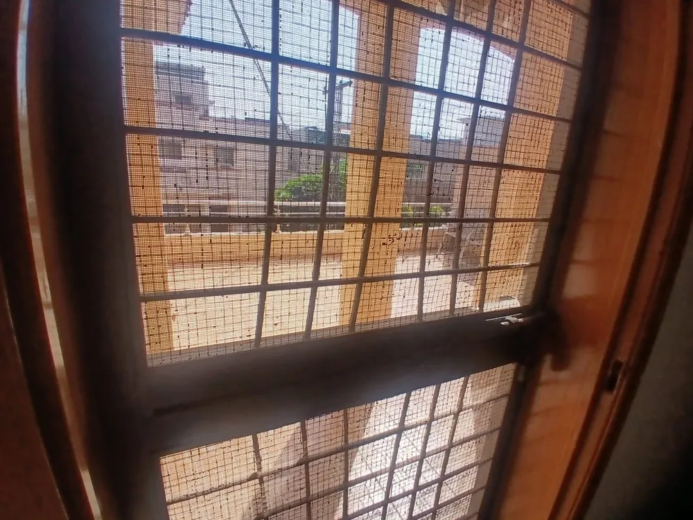 Image-5