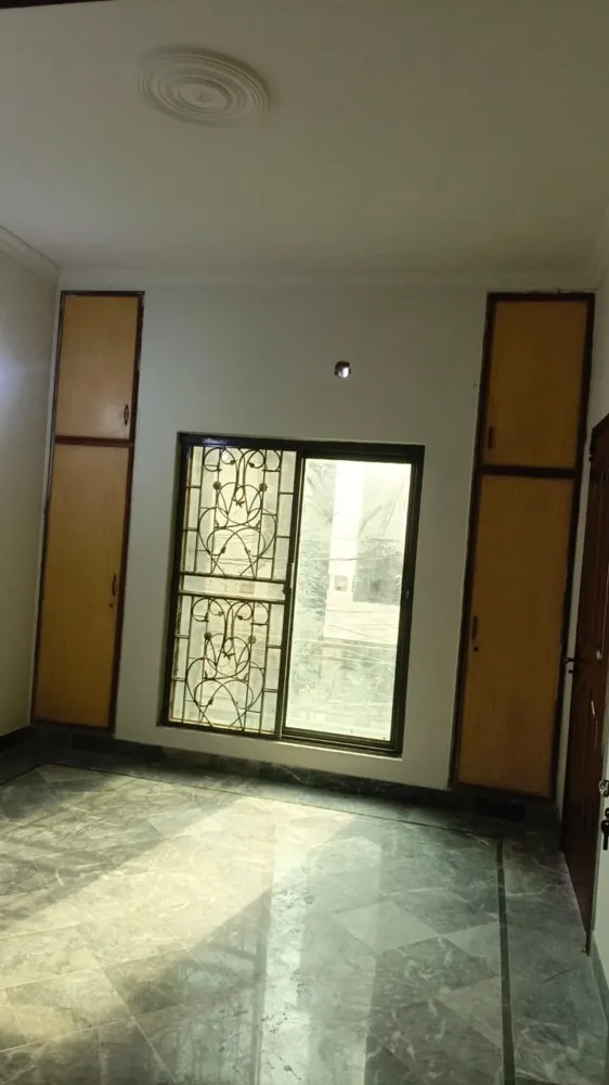 Image-7