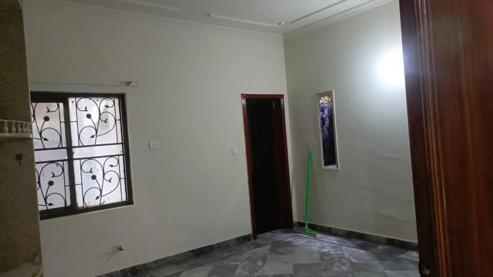 Image-6