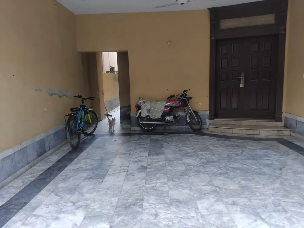 Image-8