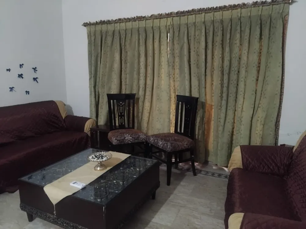 Image-7