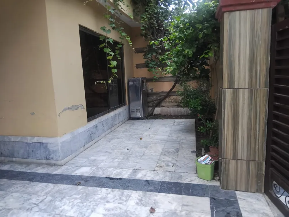 Image-4