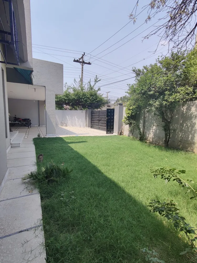 Image-46