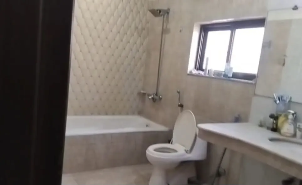 Image-3